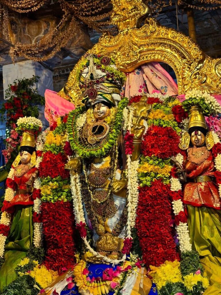 Image: Thirumaliruncholai Kallazhagar Vasantotsavam Day 4 Picture